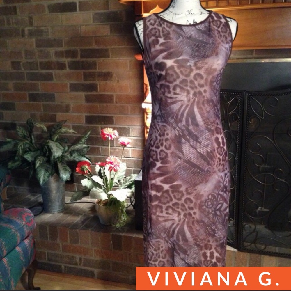 Viviana G. Sheer  & Sexy Dress with Slip